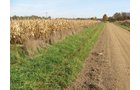 Property photo 20 - 212 Acres Offered in 6 Tracts - Selling Regardless of Price
